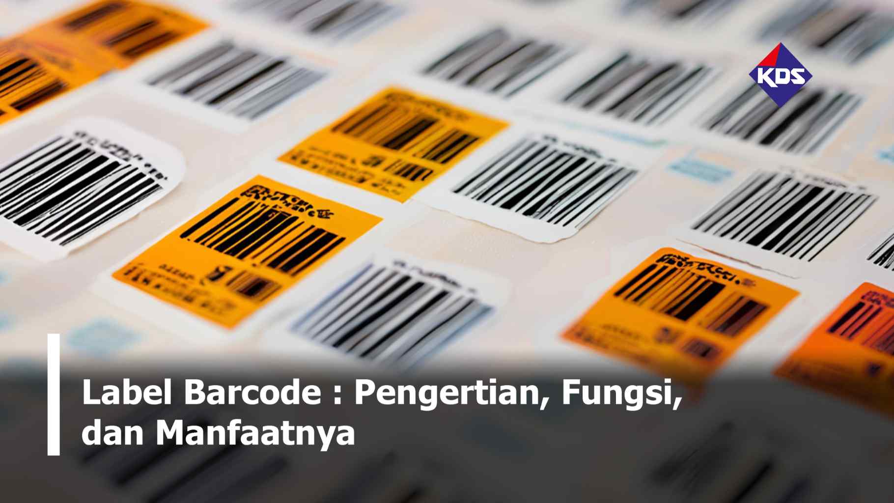 Label Barcode: Pengertian, Fungsi, dan Manfaatnya